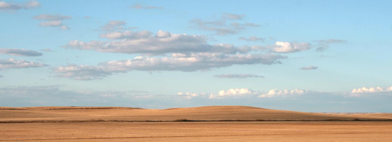 Raíces palentinas del libertador San Martín. De tierra de campos a argentina