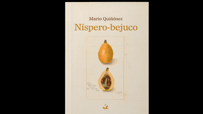 Níspero-bejuco